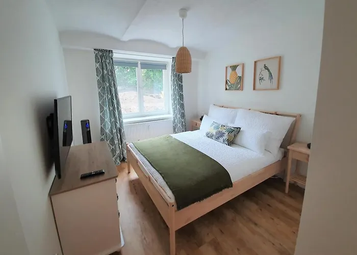 Pb - 1 - Stilvoll Eingerichtetes Im Herzen Senftenbergs * Senftenberg